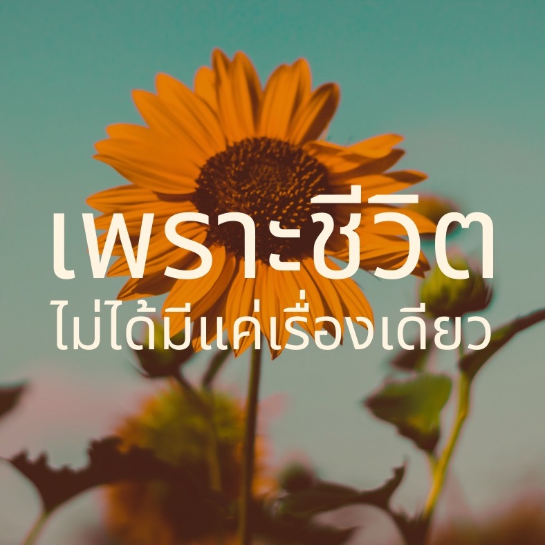 เพราะชีวิตไม่ได้มีแค่เรื่องเดียว