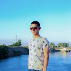 Haytham Abo Amer