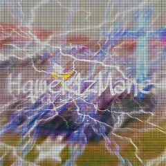 Hqwer1zMane!