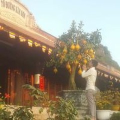 Alexander Mạnh Bơ Vơ