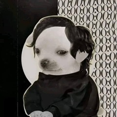 B R O K E N H E A R T