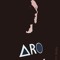 Aro