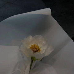 Stream 周深 雪花落下by D Listen Online For Free On Soundcloud