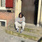 tozza B
