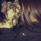 Bedur_x