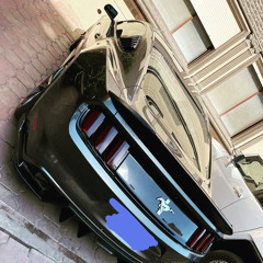 سفير الاحساس