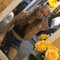 abi_nutley