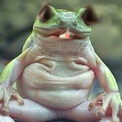 pitbull kutyakkal le jon ram 46kg nore