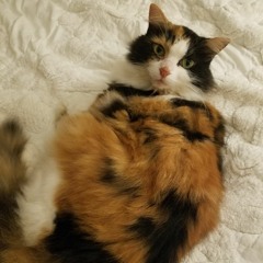 Vee