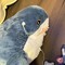 silly shark :3(pale machine)