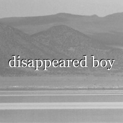 disappeared boy