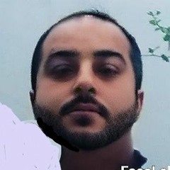 mehdi Pormohamad