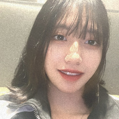 조미르