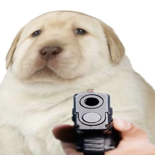 Собака с пистолетом мем So cute it’s deadly: Puppies pose with guns New York Post