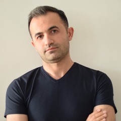 masoud roknipour