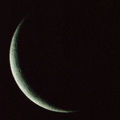 moonboy
