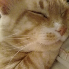 CASPER