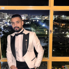 Fares Elseheli