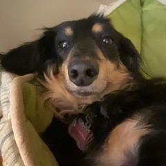 Lil Toenail Clippings