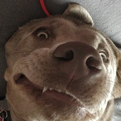 anthony