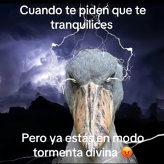 olimon24
