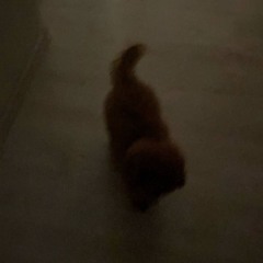 татнефт и тд