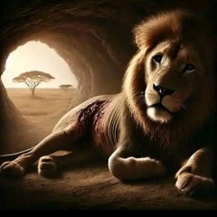 مجدى طلعت شوفت يا زمن