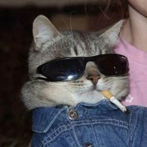 Cigarettes daydreams