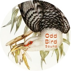 Odd Bird Sound