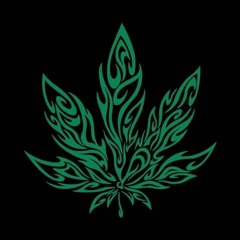 jxne2flyN2high