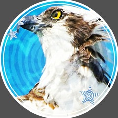 ░⊹ 🗯, ¡¡𝗣𝗮𝗻𝗰𝗮𝗸𝗲!!,🌙🥞