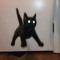 catoticneutral