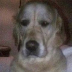 mateito.e_u