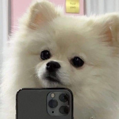 재무