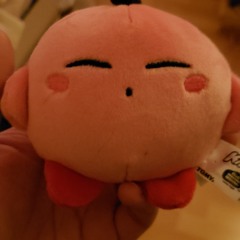 Thelunaticcriticofinnocence