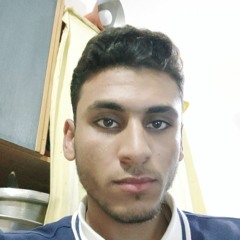Ramadan Elgendy