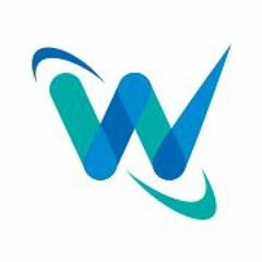 Custom WordPress Development Team