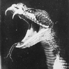 txnsei