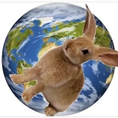 wabbitsyndrome