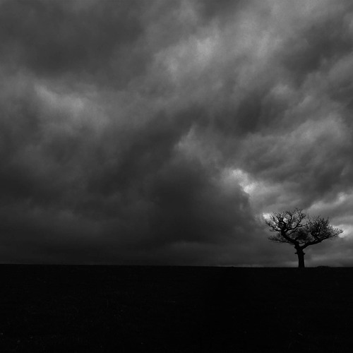 Sometimes Its Better To Be Lost
