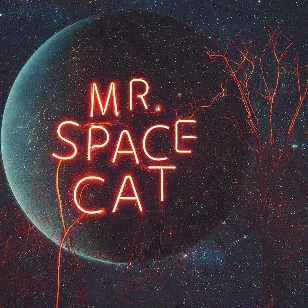 Stream To be Alone with You by Mr Space Cat | Listen online for free on ...