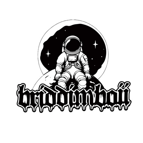 BriddimBoii’s avatar