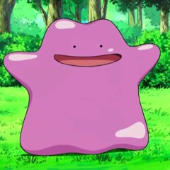 Ditto___o
