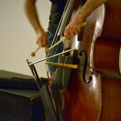 Quadruple Bass (Isabel Rößler, Wolfgang Seidel, Alexis Baskind) - Space is the pace
