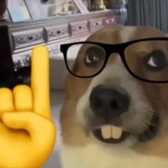 crunkey