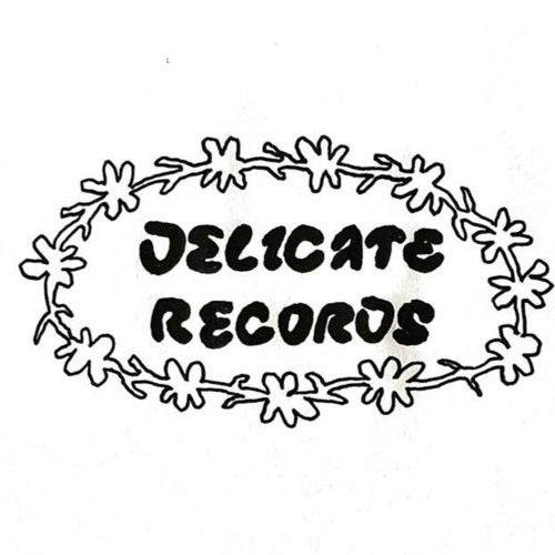 Delicate Records’s avatar