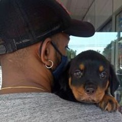 අජා මාලබෙ