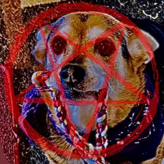 UZER...XXX
