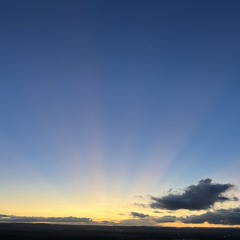 pineapple express9999