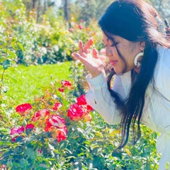 🦋•MuffyBoo•🦋